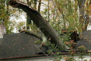 Chevy chase house front roof crop