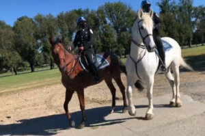 Mountedpatrol