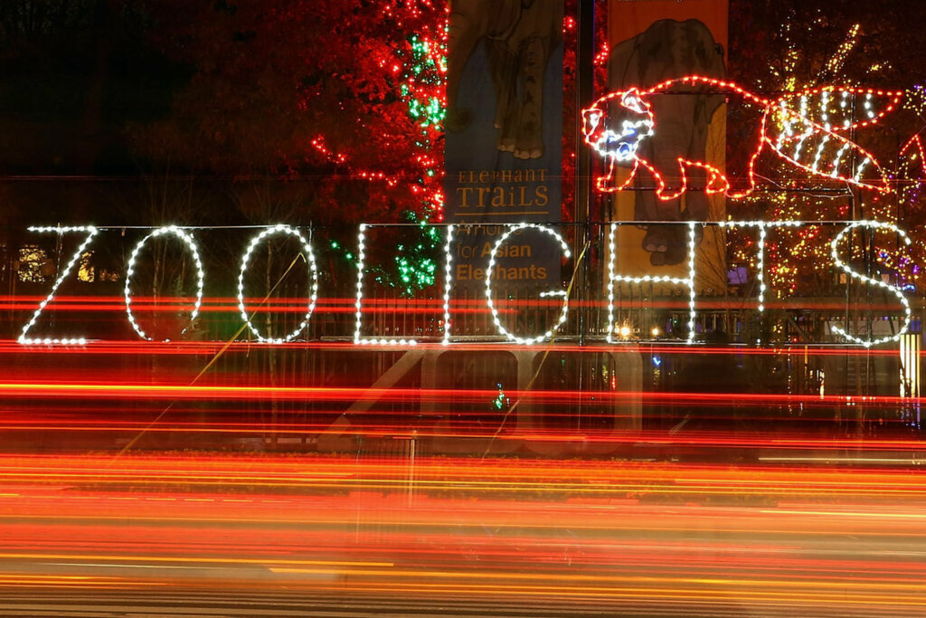 The Smithsonian National Zoo will still be celebrating its beloved ZooLights, but it's going to look different this year because of the pandemic. Here's what you need to know.