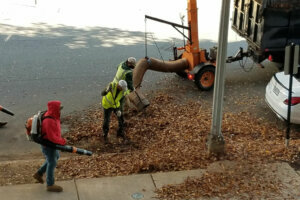 Leaf collection is underway in Arlington, Virginia. (WTOP/Sandy Kozel)