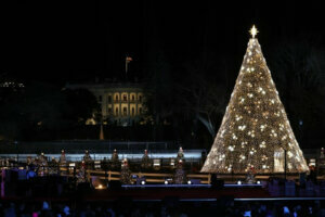 National xmas tree