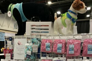 Pet expo