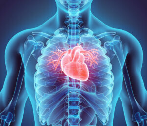 3D illustration of Heart, medical concept.