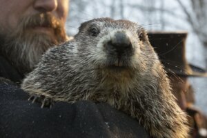 Groundhog Day