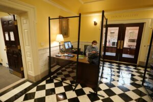 Legislating by Zoom