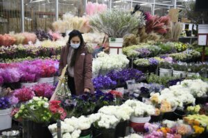 US VIRUS HEALTH FLOWERS VALENTINE DAY