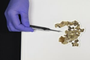 Israel Dead Sea Scrolls