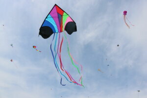 Blossom kite fly kites