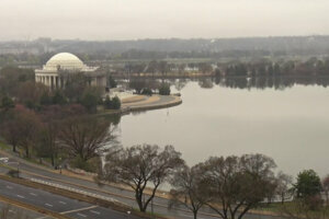 Cherry trees are seen in D.C. (Courtesy NPS)