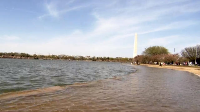 Rising waters in Washington, D.C., threaten iconic monuments