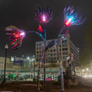 BlumenLumen night