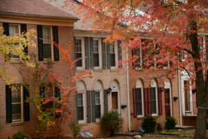 Autumn in Virginia
