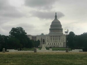 Image from iOS (20)