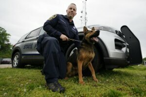 Marijuana K 9 Retirements