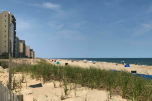 Oceancity arbin