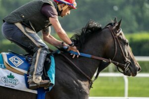Belmont Stakes Horse Racing