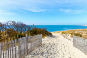 Delaware Coastal View