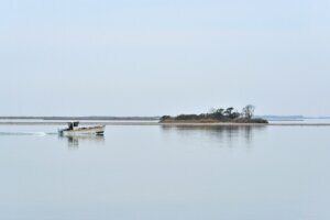 Oyster Fisherman in Sinepuxent Bay