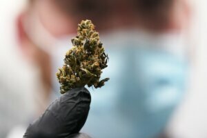 Marijuana Legalization