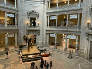 Nat hist