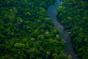 The Jamanxim River, Amazon Rainforest in the the Jamanxim National Forest. Pará Brazil