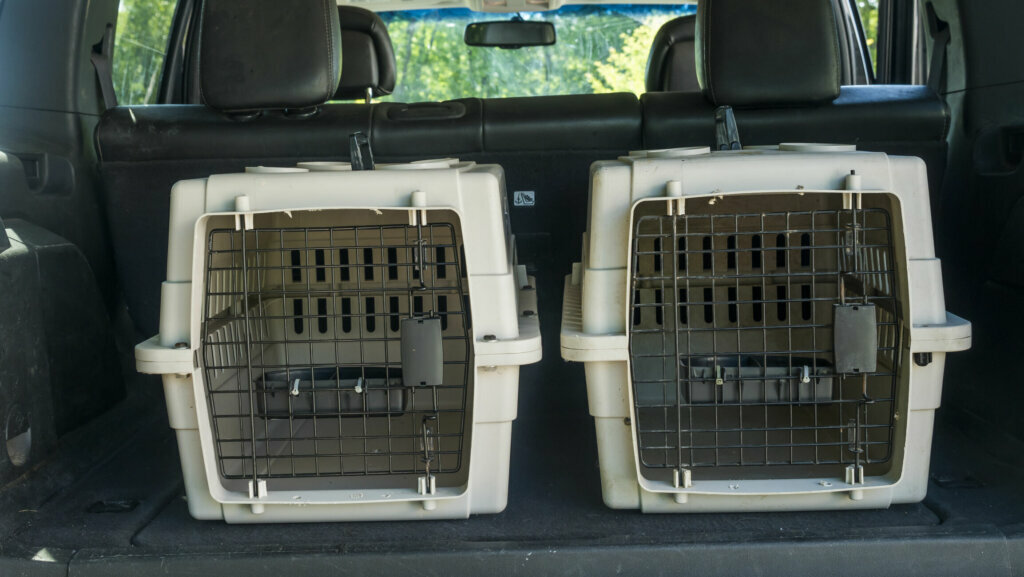 Two cages for the transport of pets in the trunk of a car
