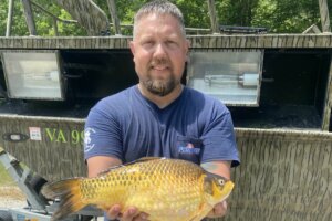 Large goldfish caught in Virginia