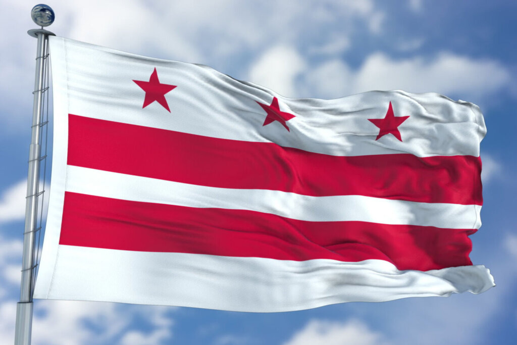 Washington DC Waving Flag