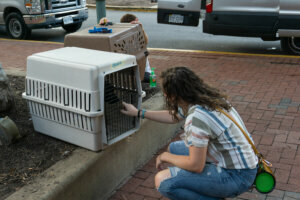 Volunteers (2)