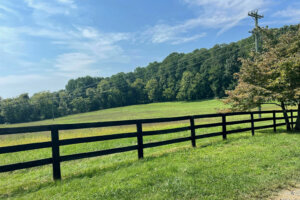 Fauquier land1