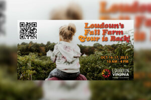 CORRECTED FALL PHOTO