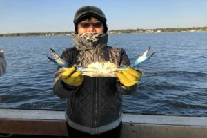 Chesapeake Bay Crab