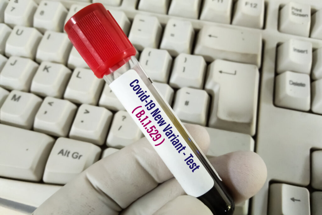 Blood sample tube for Covid 19 New Variant (B.1.1.529) test.