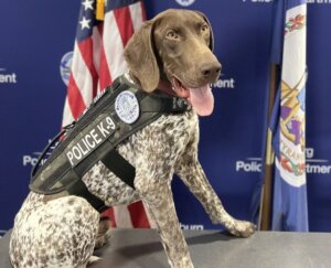 K 9 Elmore