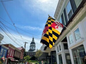 State house flag 768x576