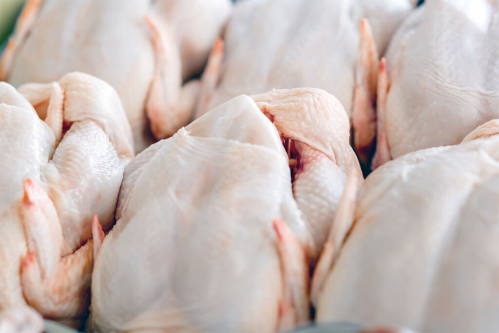 Raw butchered chicken