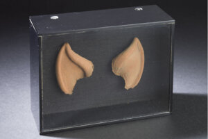 121621 spock ears