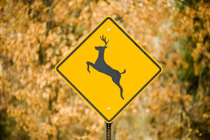 Deer Crossing Sign