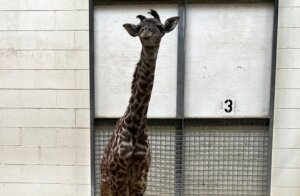Virginia Zoo Photo2