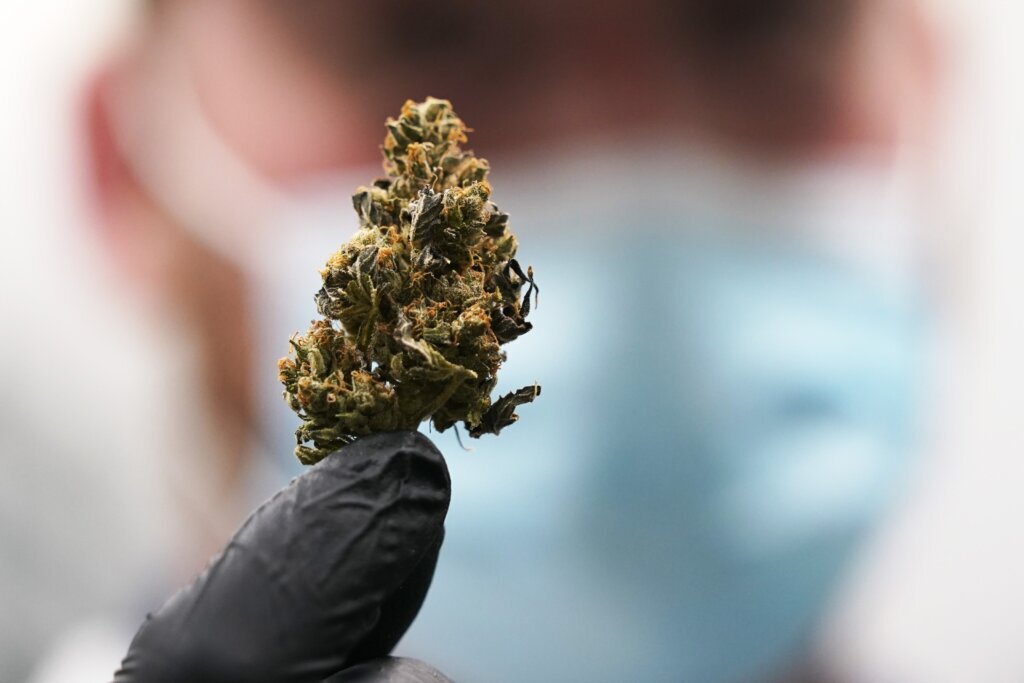 Marijuana Legalization Virginia