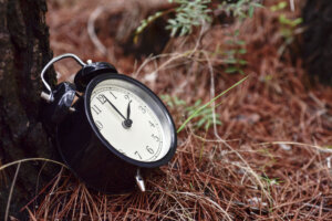 Alarm clock in a forest in autumn