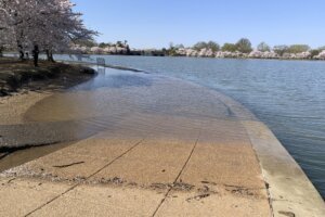 Rising Seas