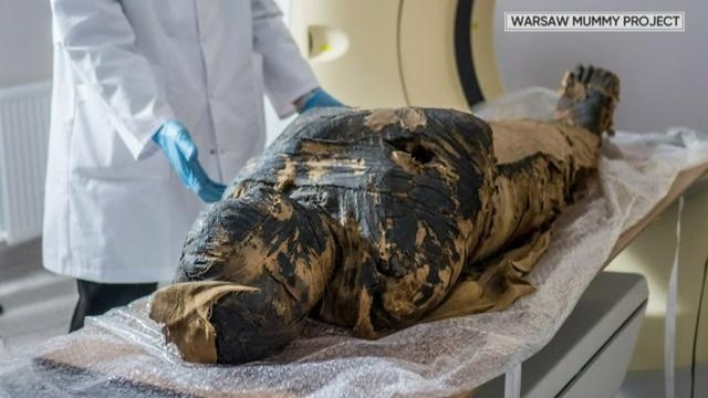 Researchers discover ancient Egyptian mummy was pregnant