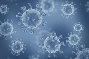 Coronavirus cells