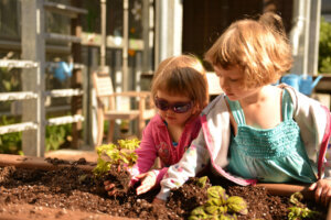 Children's Garden at U.S. Botanic Garden