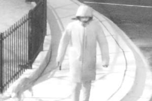 Animal cruelty suspect feature