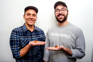 Farmbird1