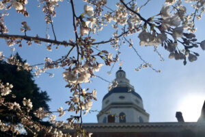State house flowers 3 scaled 1024x683