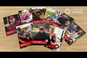 Trading cards780