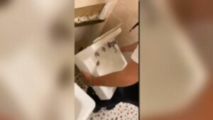 Viral social media challenges spark controversy